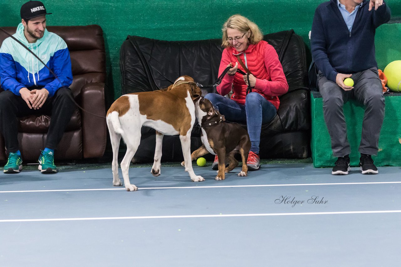 Meet and Greet am 10.12.16 135 - Meet and Greet mit Carina Witthoeft